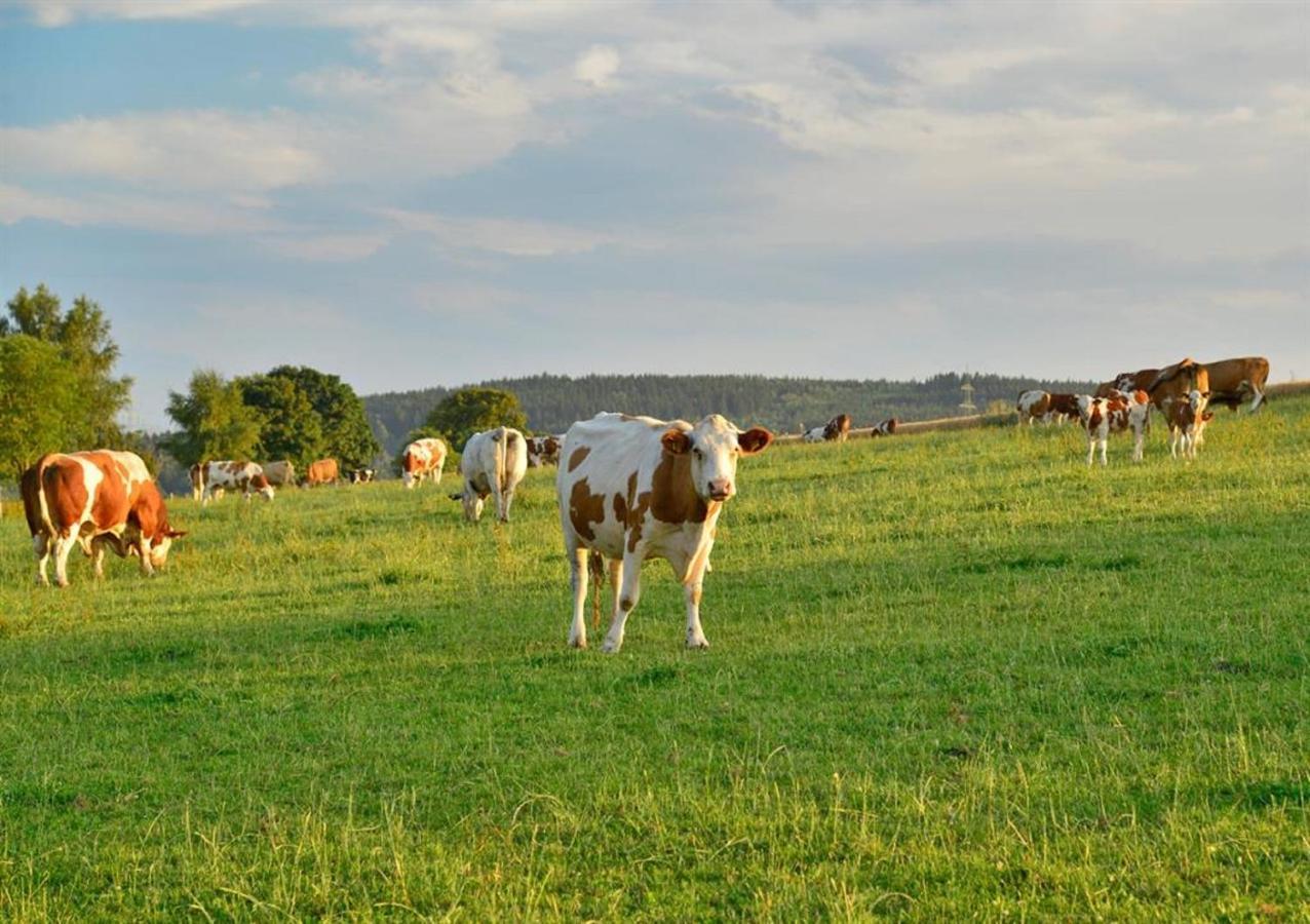 Ferienhof Kuerschner Drebach Εξωτερικό φωτογραφία